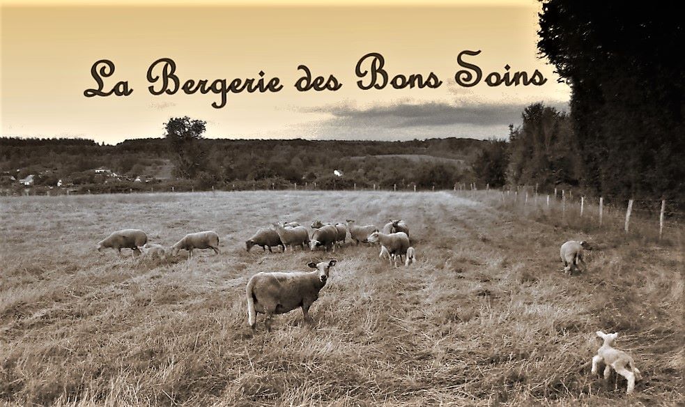 De La Bergerie Des Bons Soins - Bonne et Heureuse Année 2020