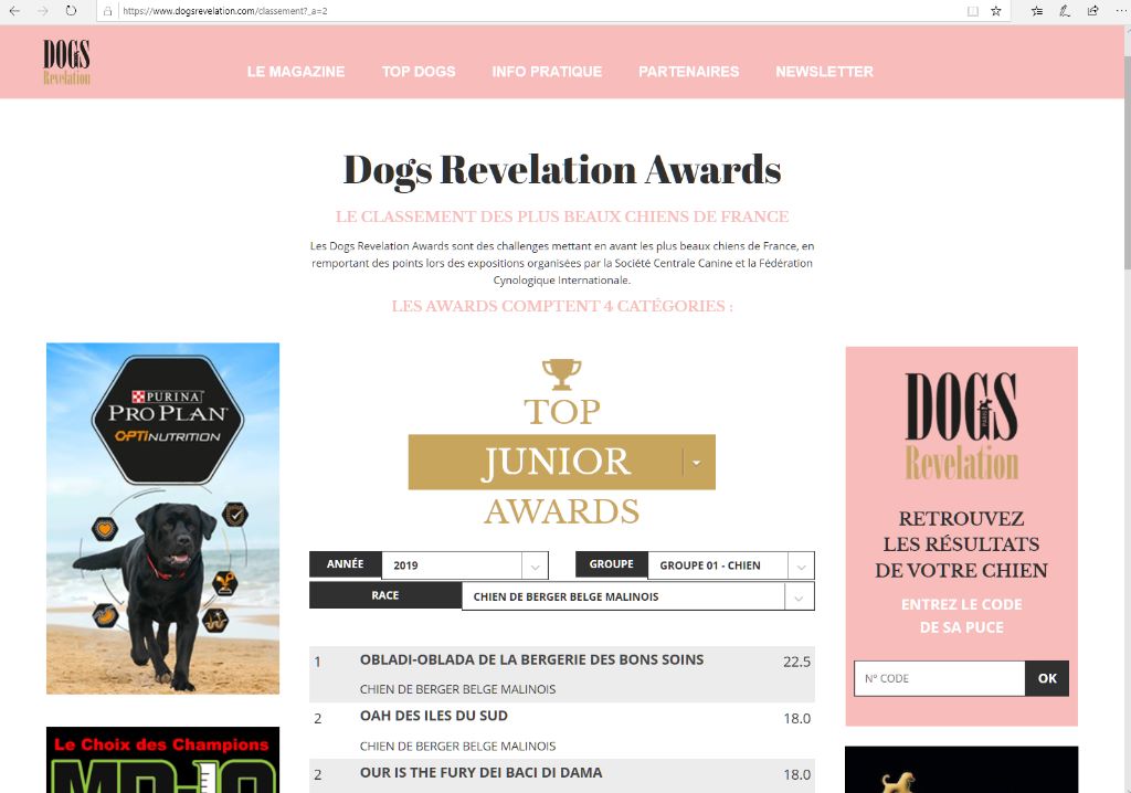 De La Bergerie Des Bons Soins - 3 chiennes classées ds les 4 catégories Dogs Revelation Awards