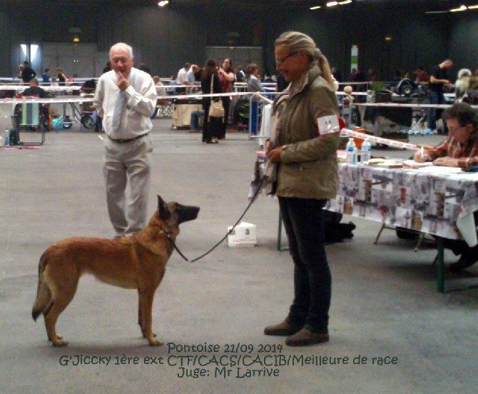 De La Bergerie Des Bons Soins - G'Jicky CACS CACIB et Meilleure de race à Pontoise