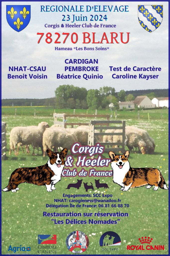 De La Bergerie Des Bons Soins - REGIONALE d'ELEVAGE CORGIS & HEELER CLUB de FRANCE 23/06 à BLARU (78)