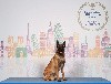  - European Dog Show: Obladi BdBS est Vice-Championne d'Europe 