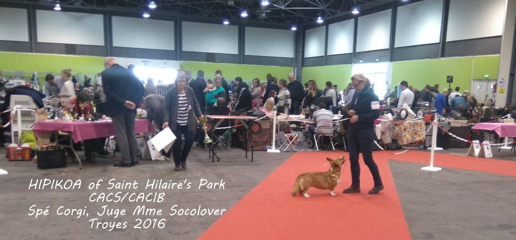 De La Bergerie Des Bons Soins - Hipikoa of Saint Hilaire's Park à la Spé Corgis de Troyes  2016