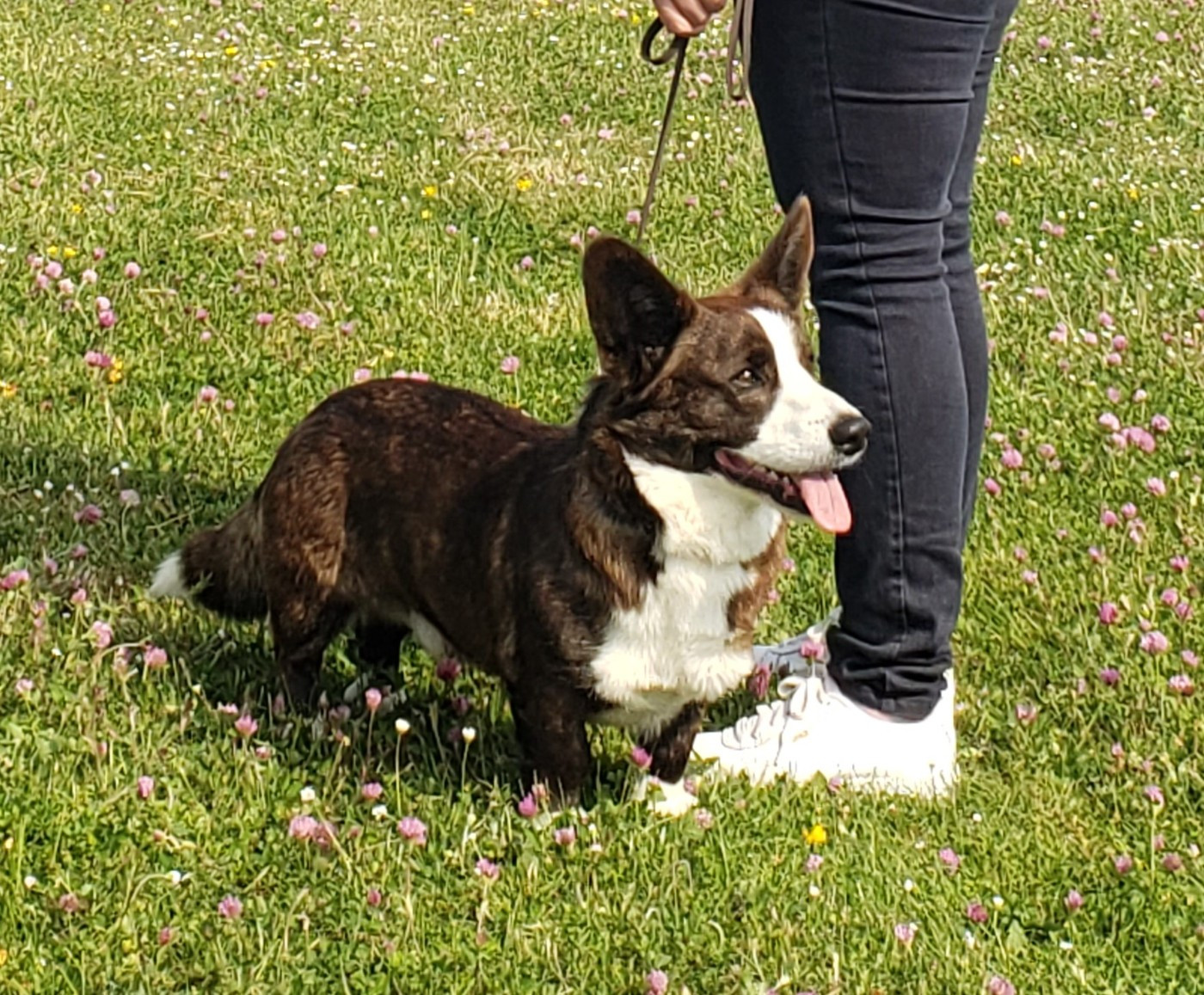Uno De La Bergerie Des Bons Soins