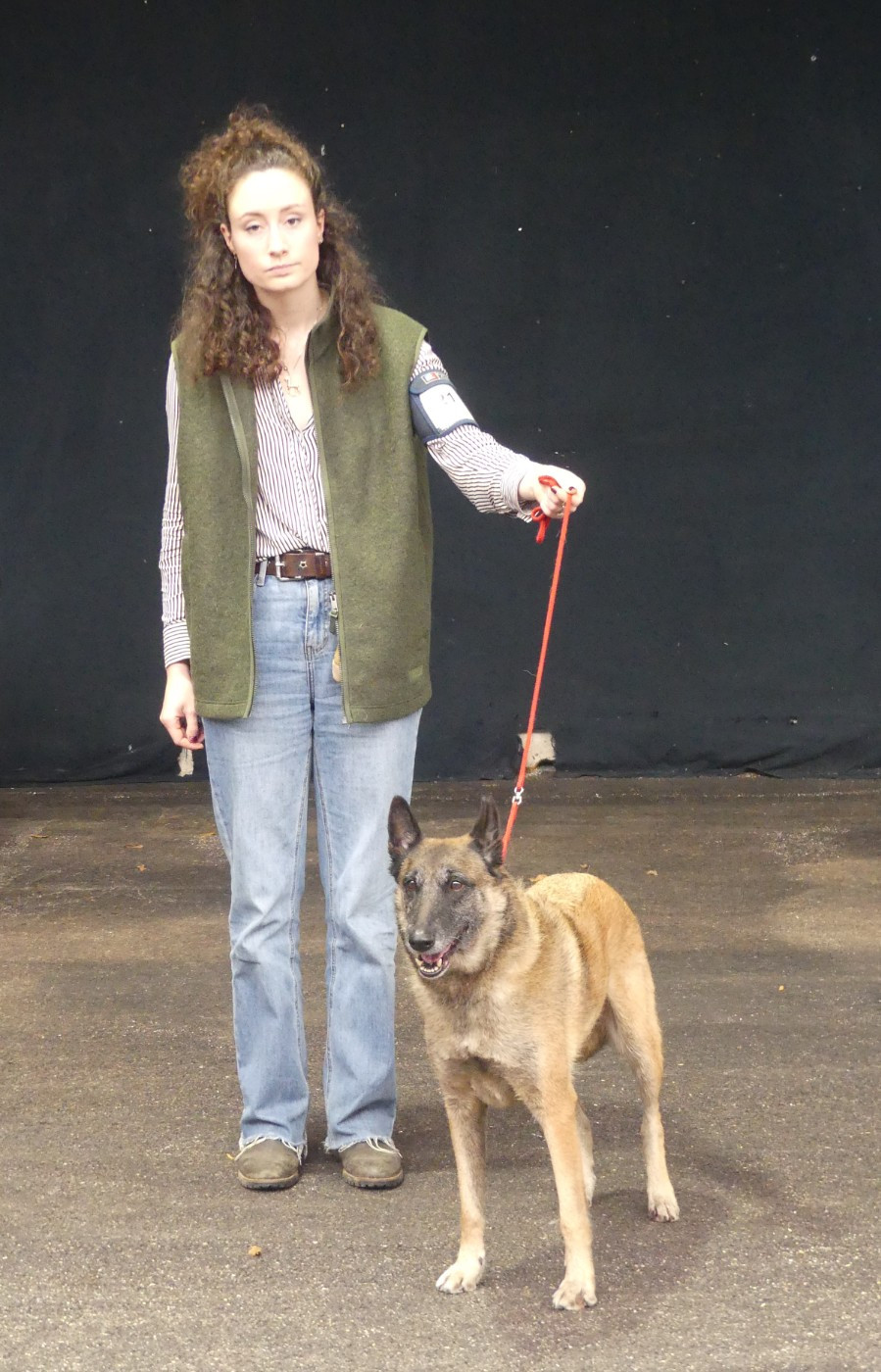 De La Bergerie Des Bons Soins - 3 chiens de la Bergerie des Bons Soins qualifiés pour participer à la Crufts!