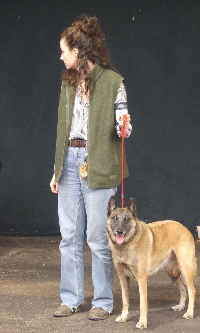 3 chiens de la Bergerie des Bons Soins qualifiés pour Crufts!