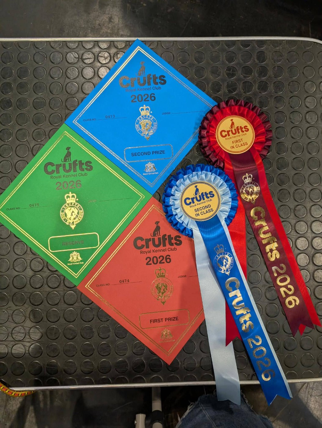 De La Bergerie Des Bons Soins - Ugh se distingue à la CRUFTS