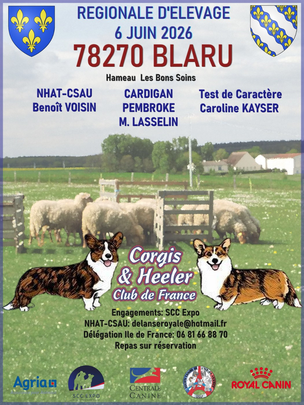 REGIONALE D'ELEVAGE CORGIS & HEELER CLUB DE FRANCE 6/06 à BLARU (78)