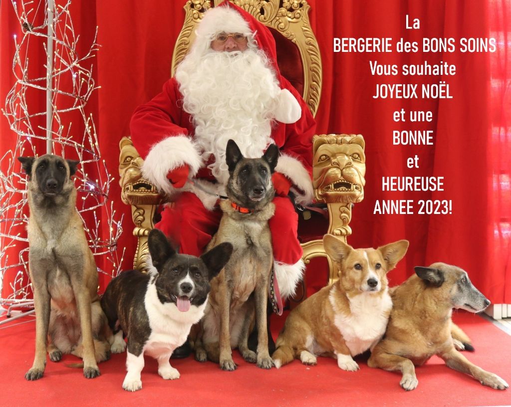 De La Bergerie Des Bons Soins - Bonne et Heureuse Nouvelle Année!